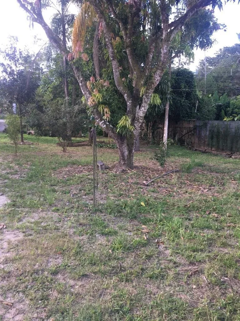 Imagem Chácara à venda 3 Quartos, 2000M², Mandú, Pindamonhangaba - SP