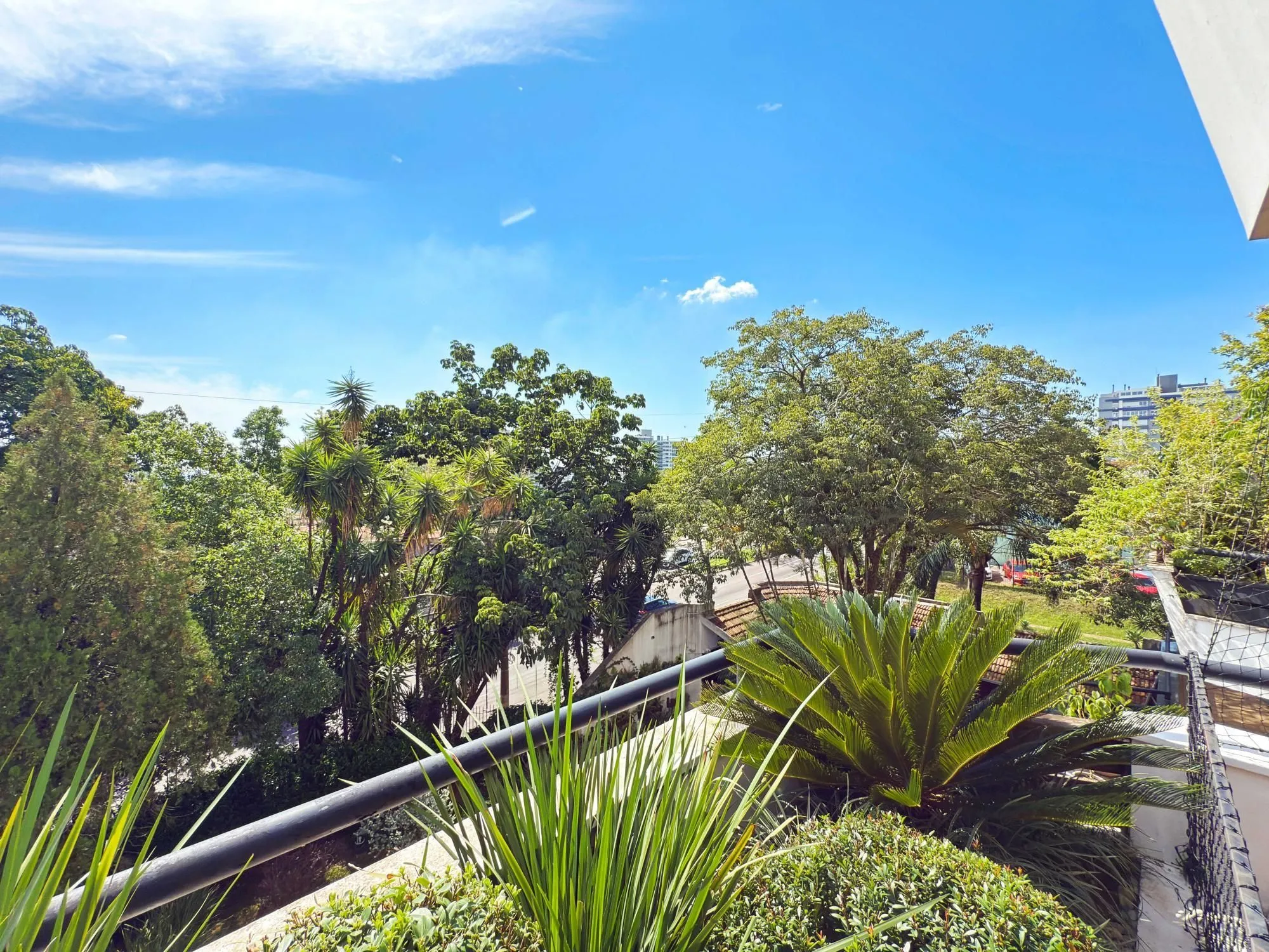 Imagem Apartamento em Petrópolis