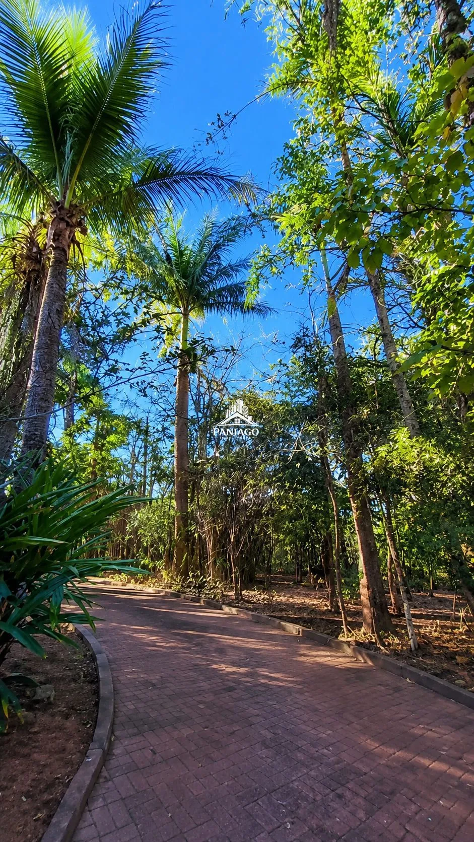 Imagem Propriedade de 13.000 m² à Venda em Chapada dos Guimarães/MT | COHAB Véu de Noiv