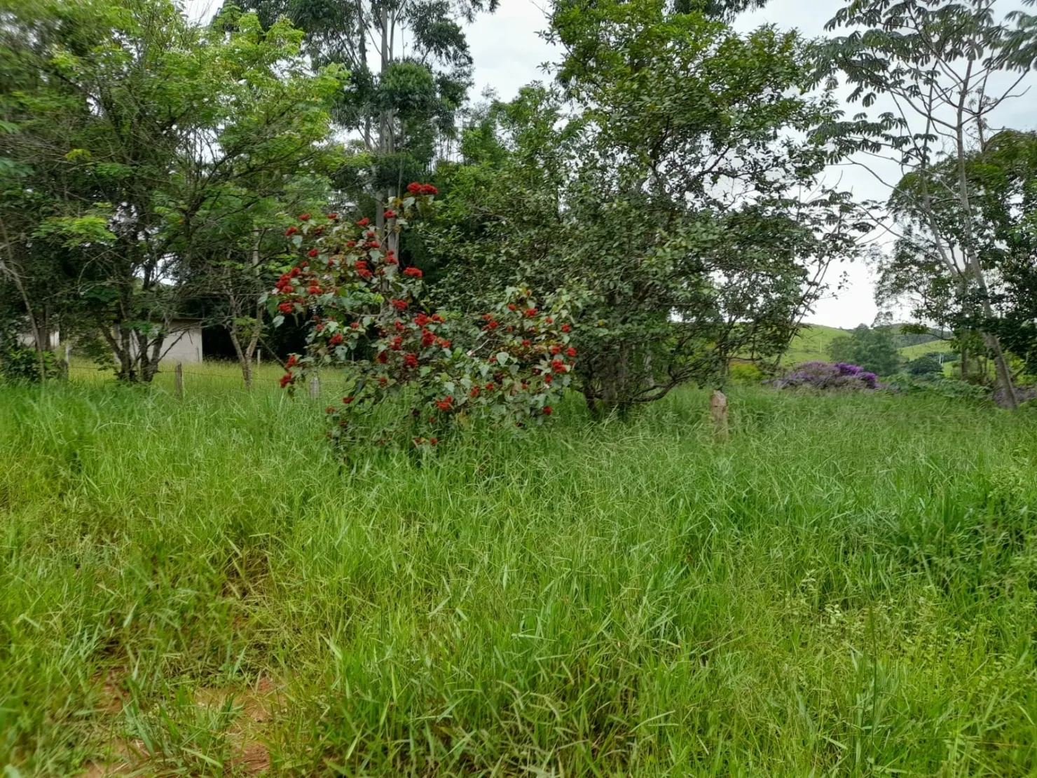 Imagem Terreno à venda 10000M², Mandú, Pindamonhangaba - SP