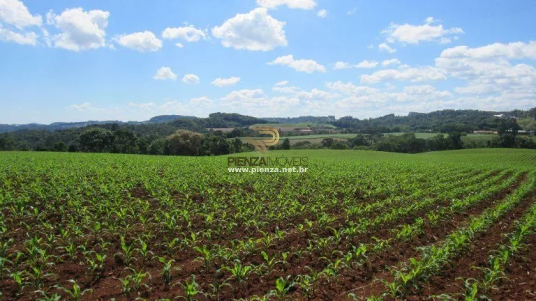 Imagem Área para Loteamento para Venda em Concórdia, São Cristóvão