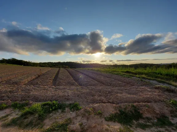 Imagem Terreno à Venda, 1.000 m² em Centro - Cotia