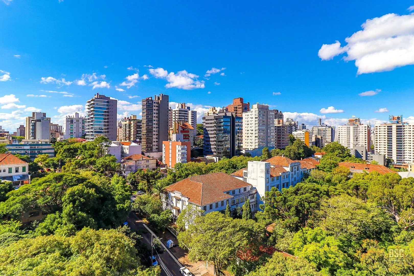 Imagem Bosque do Rio Branco