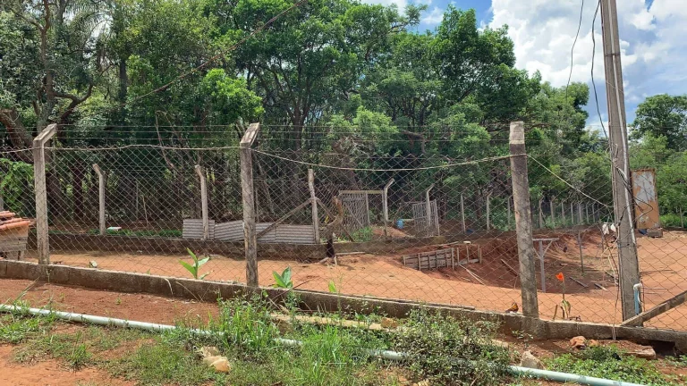 Imagem Sítio Braganca Paulista 5 alqueires plano!
