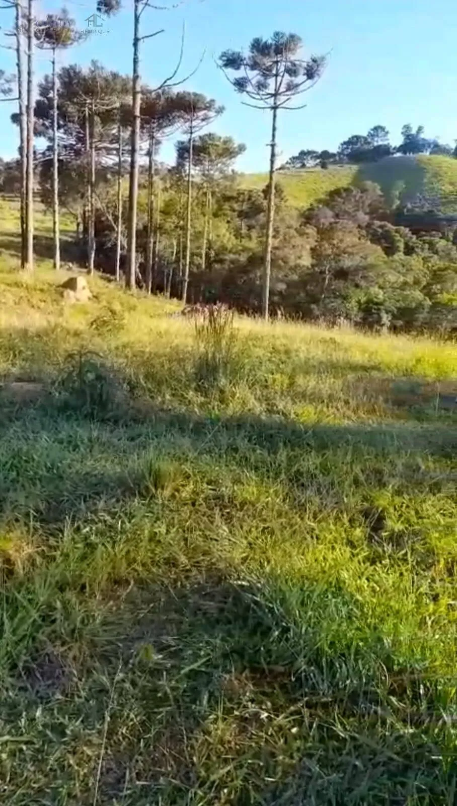 Imagem Sítio à venda com 16 hectares - Região do Rio Manos | Cunha - SP