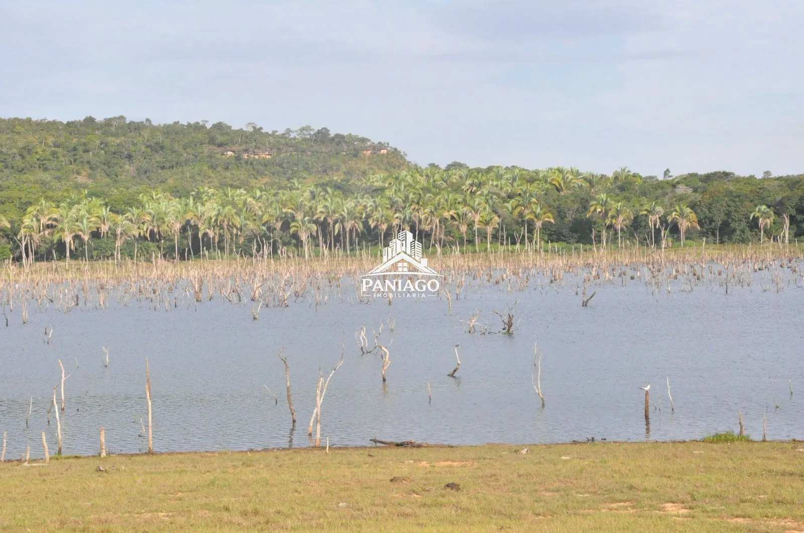 Imagem Chácara de 18 Hectares com Beira de Lago à Venda OPORTUNIDADE