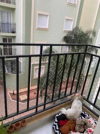 Imagem Apartamento Edifício Ilha de Cozumel , Bairro Dois Córregos , medindo 55 m² e contendo 2 dormitó...
