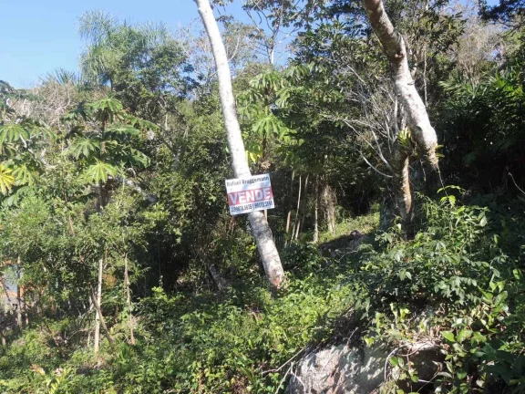 Imagem Terreno à Venda em Garopaba-SC, Praia da Gamboa, 973,63 m² de Área com Vista Mar!