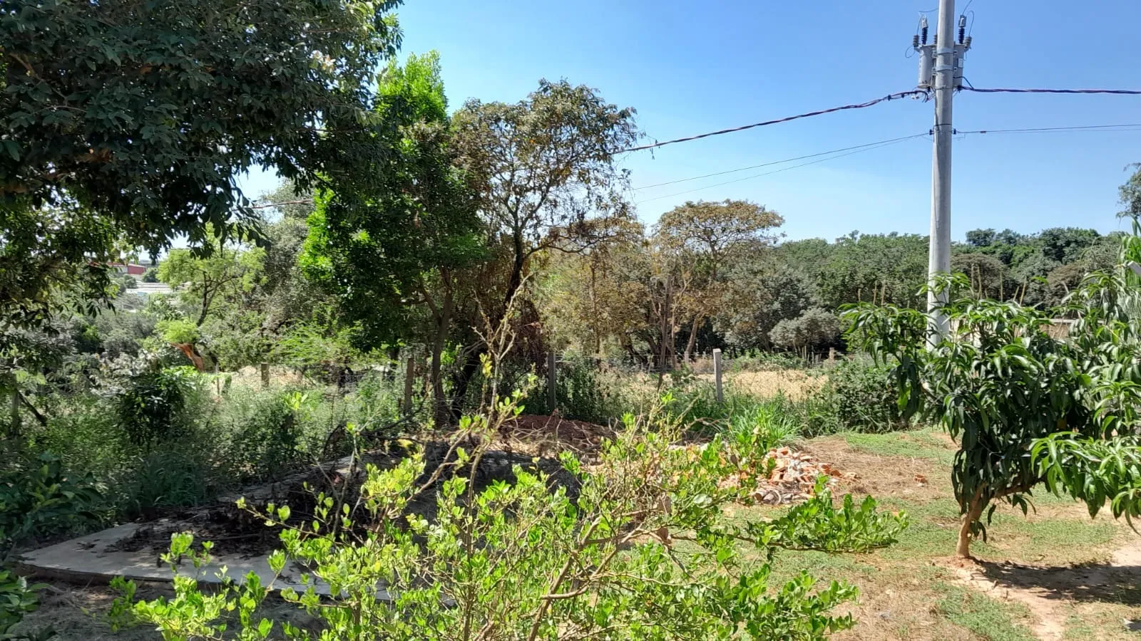 Imagem Lindo terreno de 950m² no Iporanga.