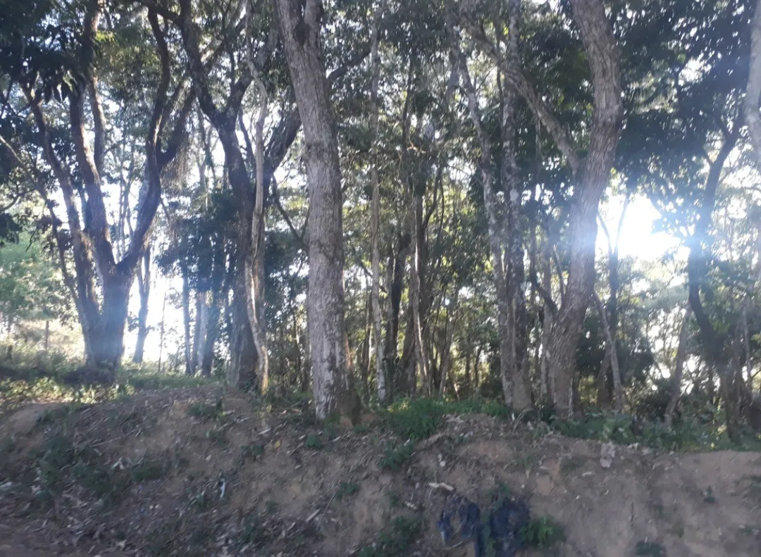 Imagem Oportuinidade Única!! Terreno em Piedade.