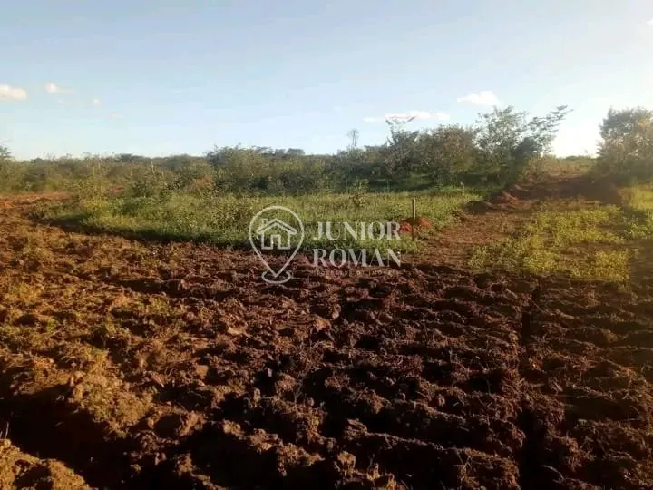 Imagem FAZENDA - 91,5 HECTARES - CRISTOPOLIS/BA