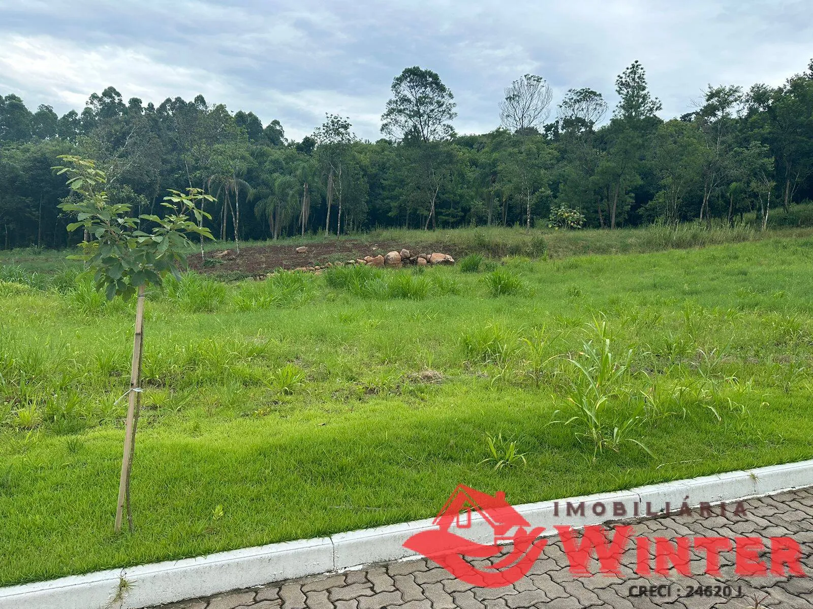 Imagem Lotes planos no Loteamento São Miguel, Picada Cara, Feliz