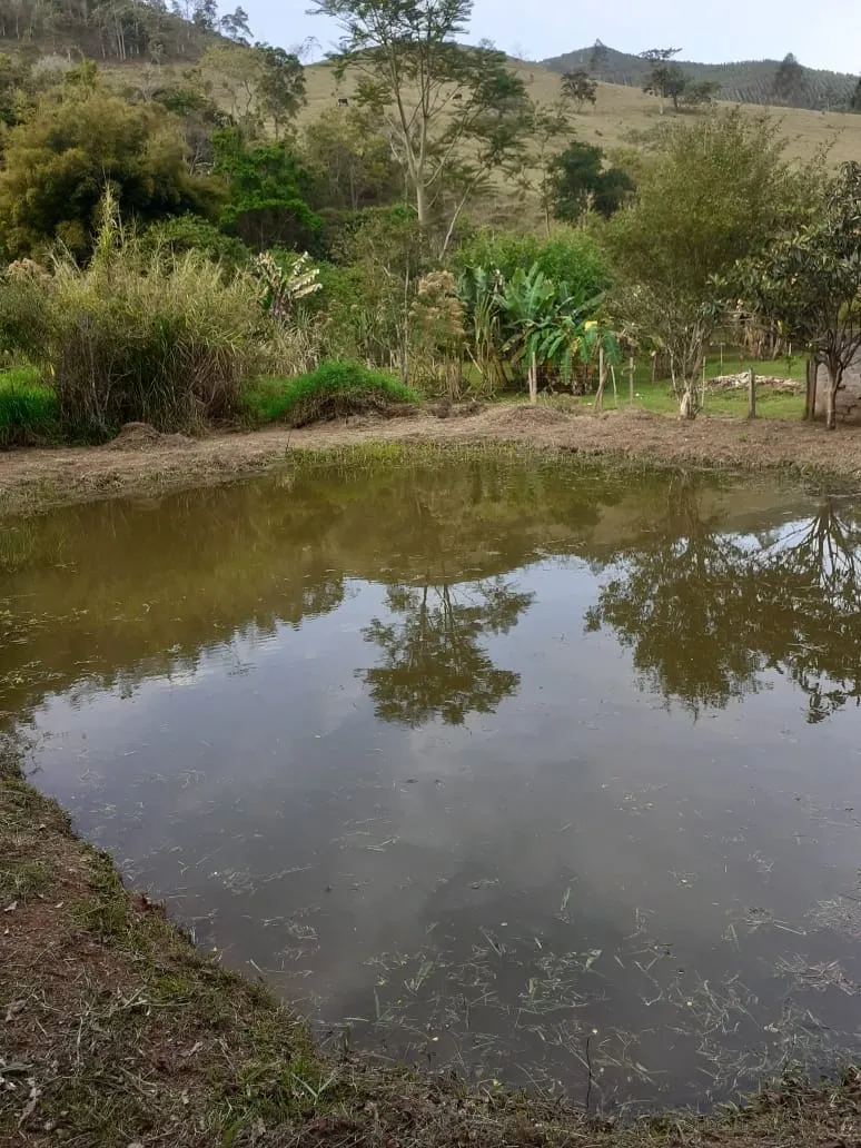 Imagem Chácara à venda 2 Quartos, 3860M², Zona Rural, Taubaté - SP