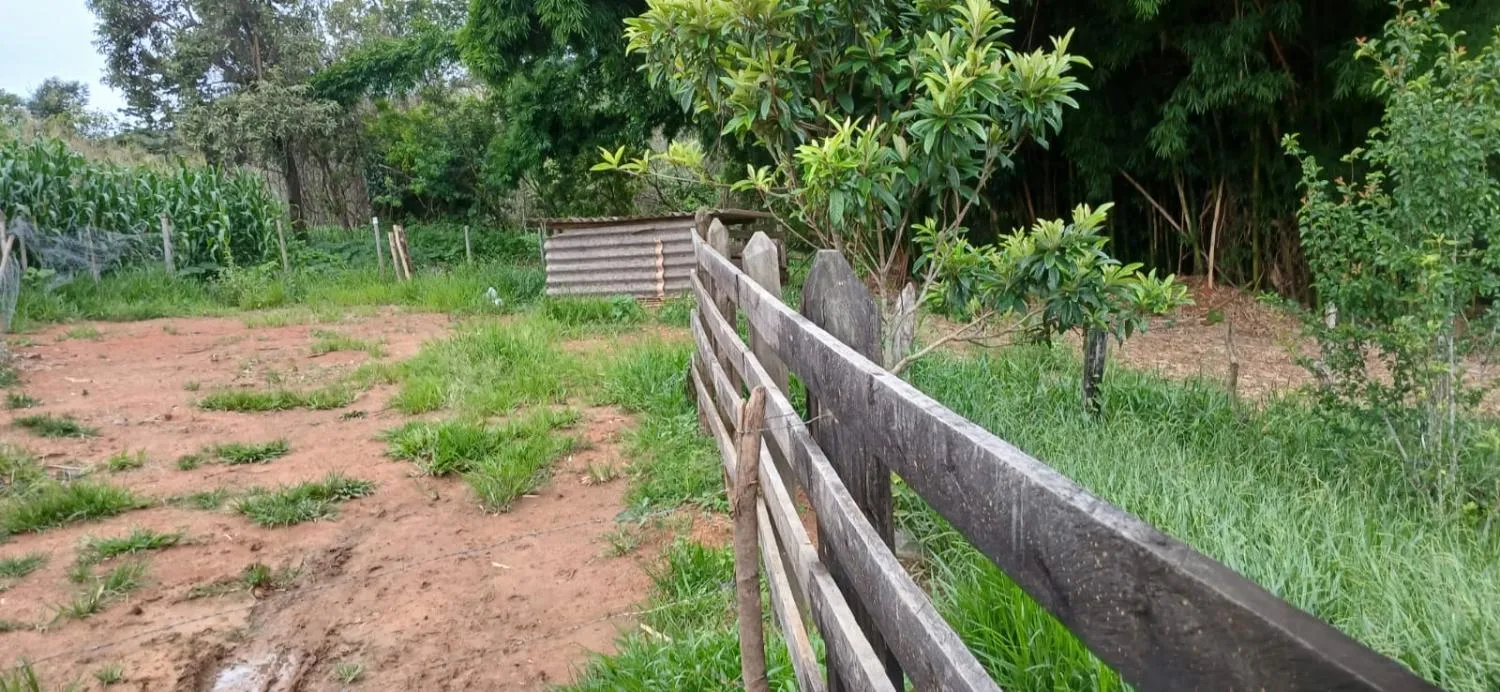 Imagem SÍTIO ESPETACULAR À VENDA EM PASSA TEMPO/MG -- 5,9 hectares de terra