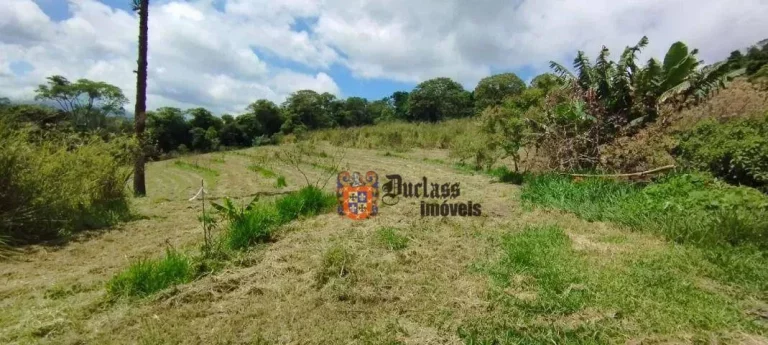 Imagem Sítio com 2 dormitórios à venda, 20000 m² por R$ 1.050.000,00 - Vargem - Vargem/SP