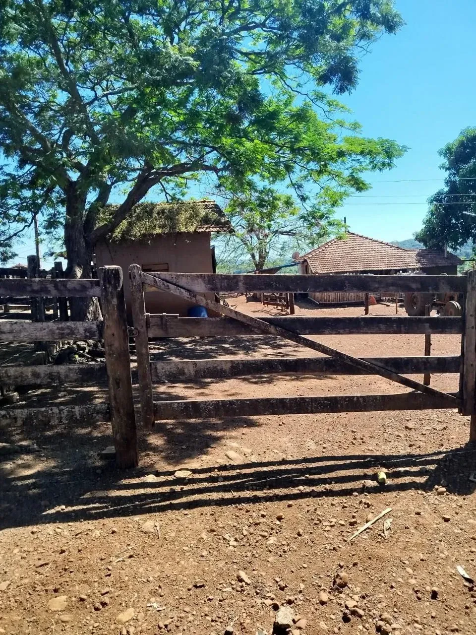 Imagem Fazenda à Venda, 28 Alq. GO em Área Rural de Itumbiara - Itumbiara