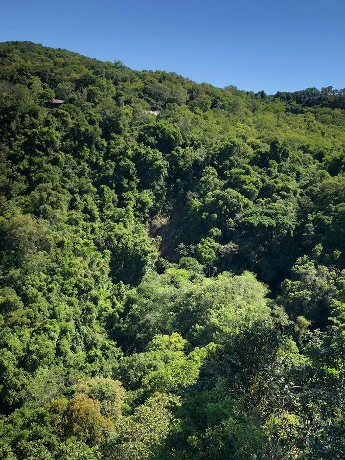 Imagem Chácara para venda , localizado em São João do Deserto, Lomba Grande em Novo Hamburgo/RS.