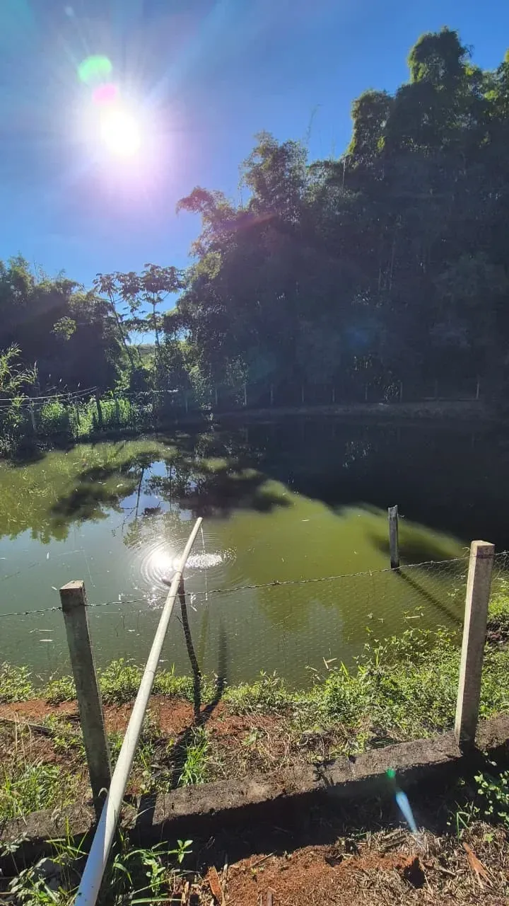 Imagem Sítio à Venda, 4 hectare em Monte Santo de Minas - Monte Santo de Minas
