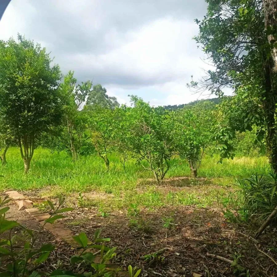 Imagem Chácara para Venda em Novo Hamburgo / RS no bairro Lomba Grande