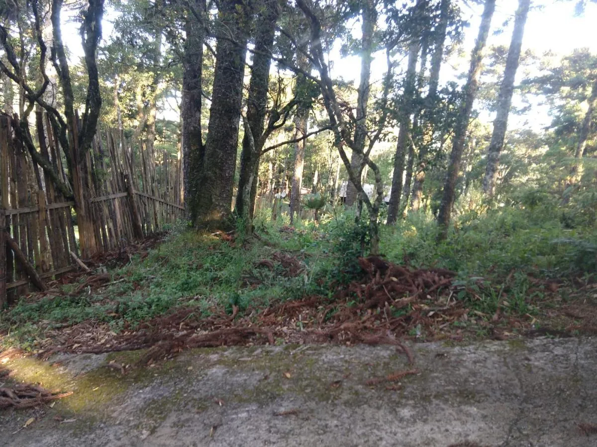 Imagem Terreno para Venda em São Francisco de Paula / RS
