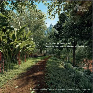 Imagem Lar 233 Laranjeiras | Lançamento em Laranjeiras