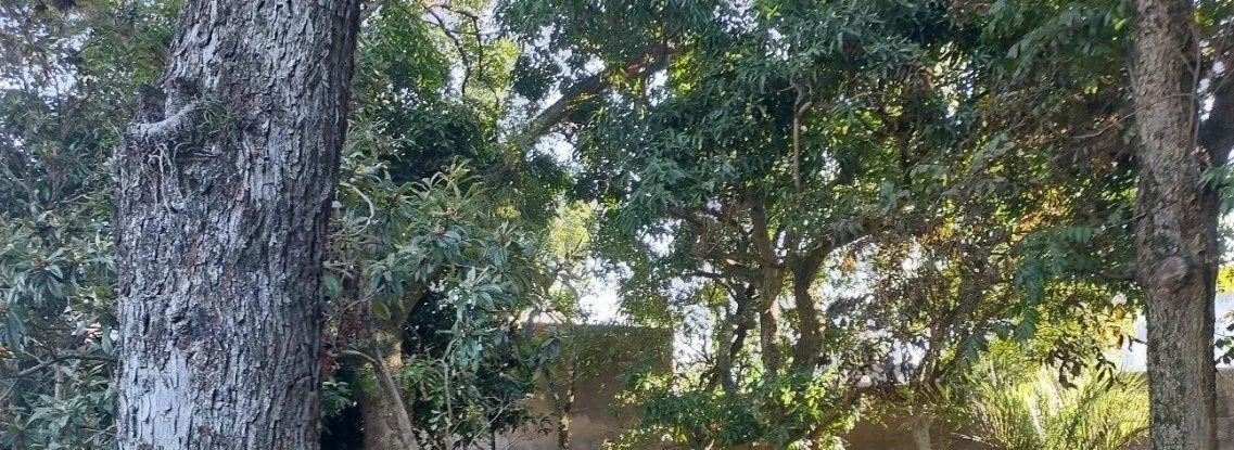 Imagem Terreno em Menino Deus