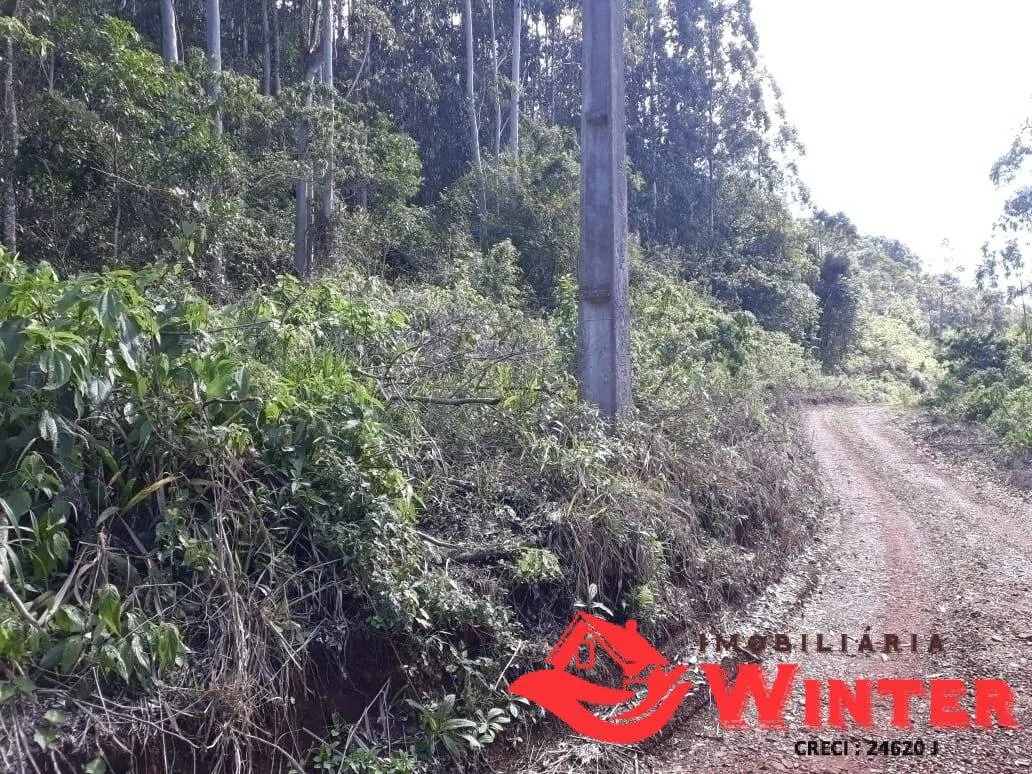 Imagem Área de terras com linda vista em Nova Caxias, Feliz
