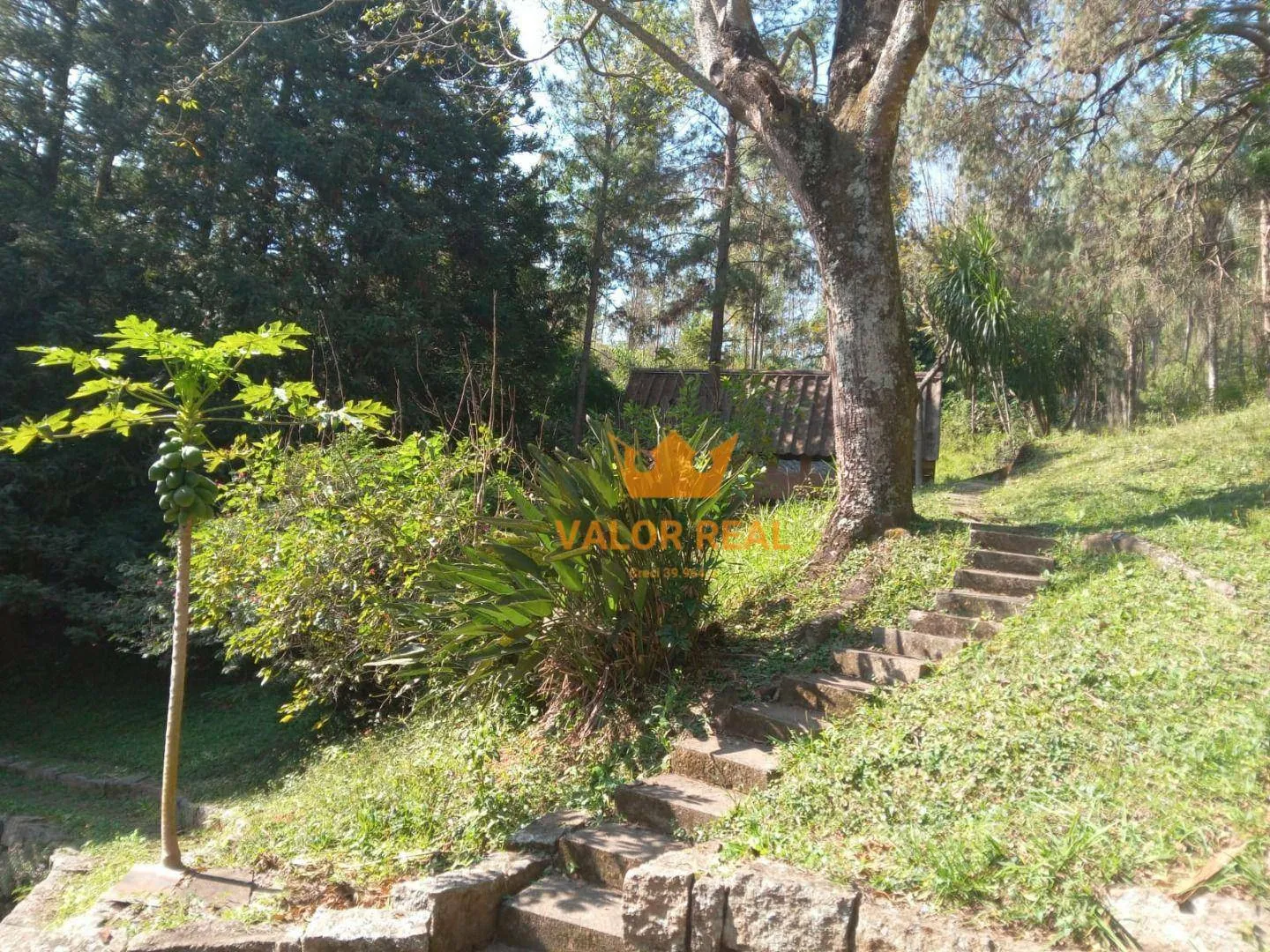 Imagem Sítio Campo Limpo, 99 mil m2, Meio da Natureza, R$ 3 milhões.
