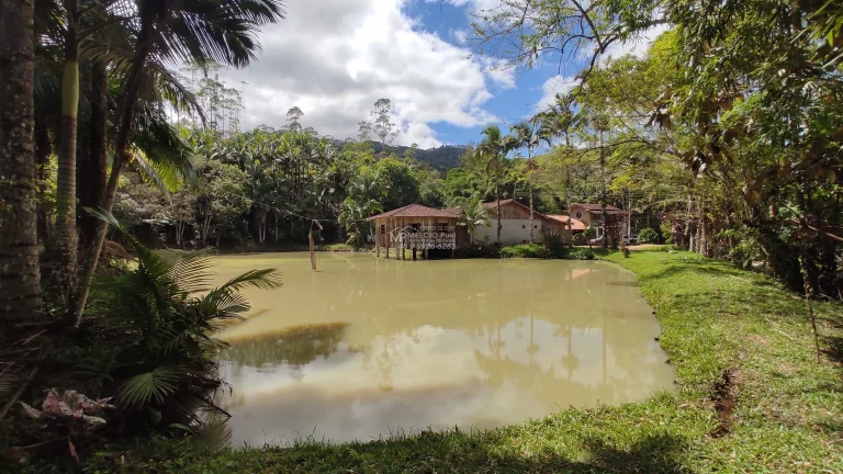 Imagem Propriedade ideal para fazer Sítio para Aluguel. Pois ja tem prontos 8 área com terraplanagem, pronto para construir.