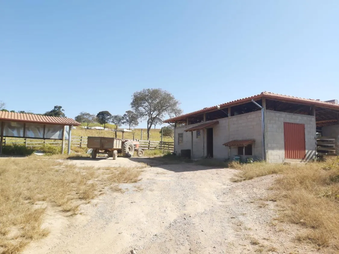 Imagem FAZENDA À VENDA - JECEABA (MG) 25 hectares de terra