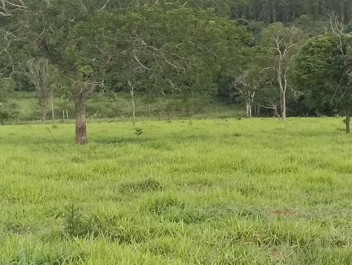 Imagem Terreno a venda de 24,3 hectares às margens do Rio Picão