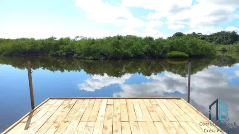 Imagem Chácara/Sítio, propriedade produtiva, 30 hectares com plantação de palmito pupunha, em Guaratuba PR