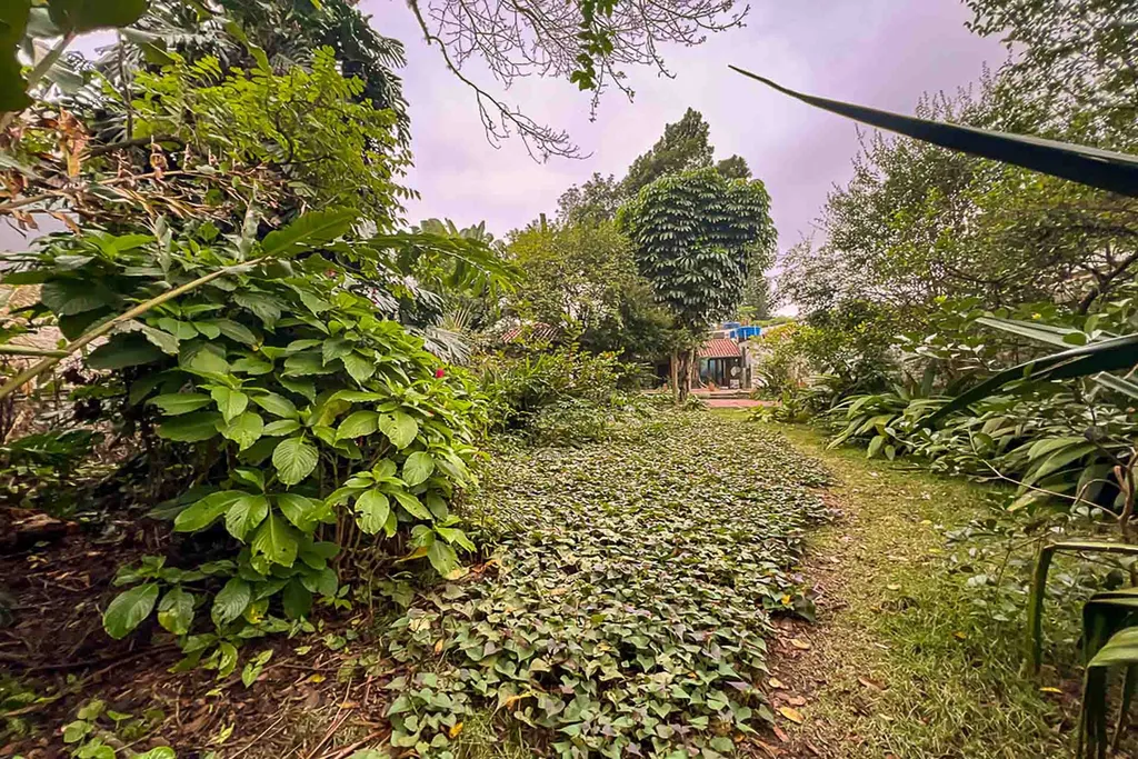 Imagem Terreno à venda em São Paulo, Alto de Pinheiros, 788m2