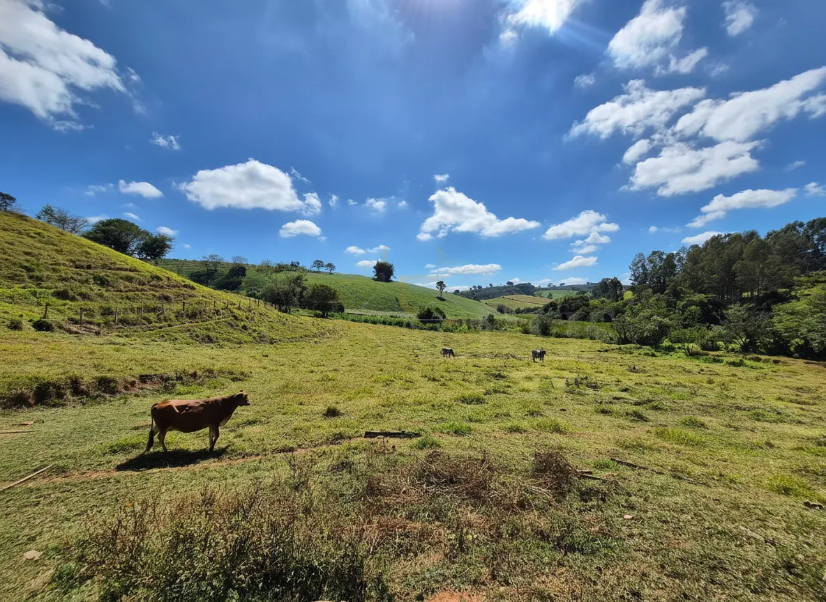 Imagem Sítio 5,4 ha à venda em Sertãozinho, Botelhos