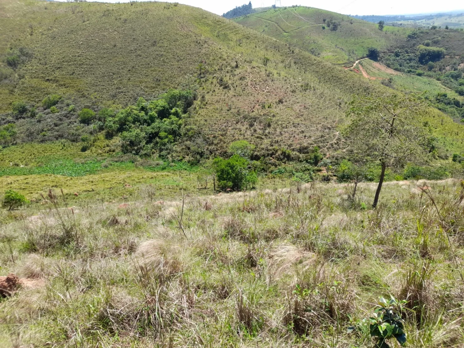 Imagem Chácara à venda 20000M², Mandú, Pindamonhangaba - SP