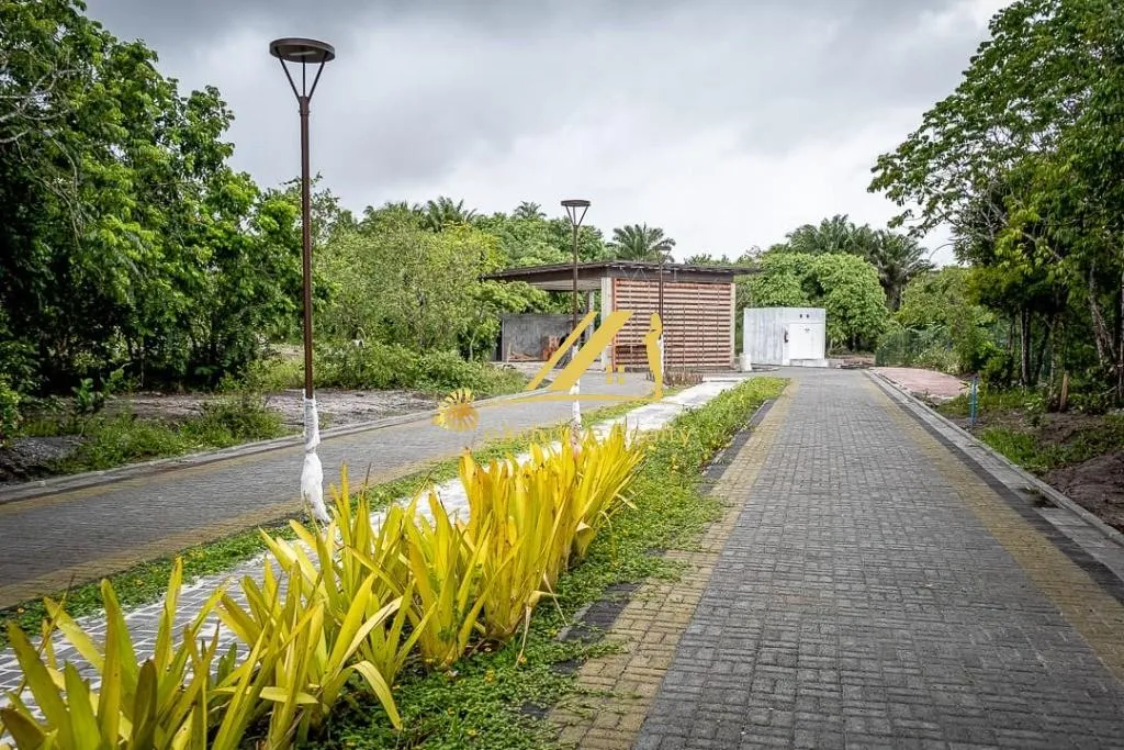 Imagem TERRENO RESIDENCIAL em Camaçari - Bahia, Catu de Abrantes (Abrantes)