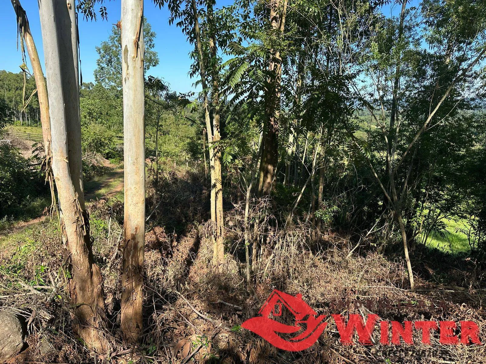 Imagem Área de terras com 3.000m² próprio para um chácara.