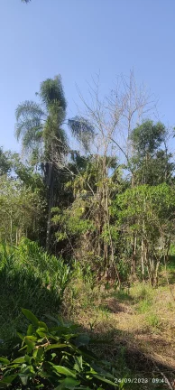 Imagem Terreno para a sítio, em Salto do Major Gercino SC. Com área plana, com terra boa de plantio. Tem mais de 30 metros um lindo RIACHO nos fundos, com ág