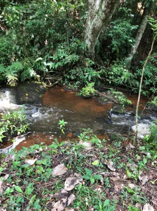 Imagem Terreno à Venda, 1.000 m² em Recanto das Águas - Igaratá