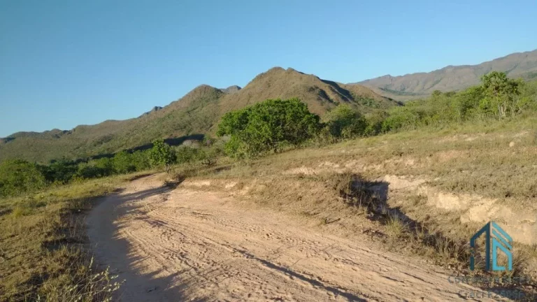 Imagem Fazenda a venda Oportunidade Única em Niquelândia Goiás- GO