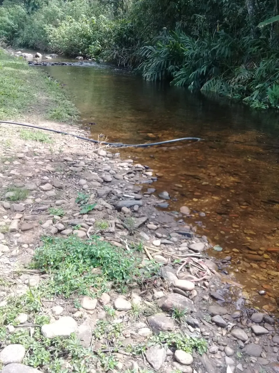 Imagem Chácara à venda 40000M², Ribeirão Grande, Pindamonhangaba - SP