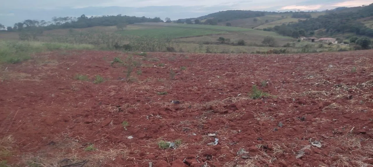 Imagem FAZENDA À VENDA - CRUCILÂNDIA (MG) 120 hectares de área total