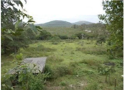 Imagem Terreno em Ponta Grossa