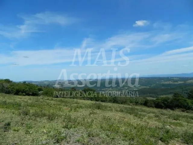 Imagem Excelente sítio para venda localizado no bairro Morungava em Gravataí/RS