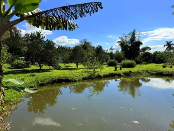 Imagem Chácara para Venda em Morretes, Zona Rural