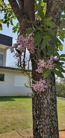 Imagem Casa à venda 3 Quartos, 1 Suite, 4 Vagas, 835M², Condomínio Altos do Cataguá, Taubaté - SP | RESERVA ALTOS DO CATAGUÁ