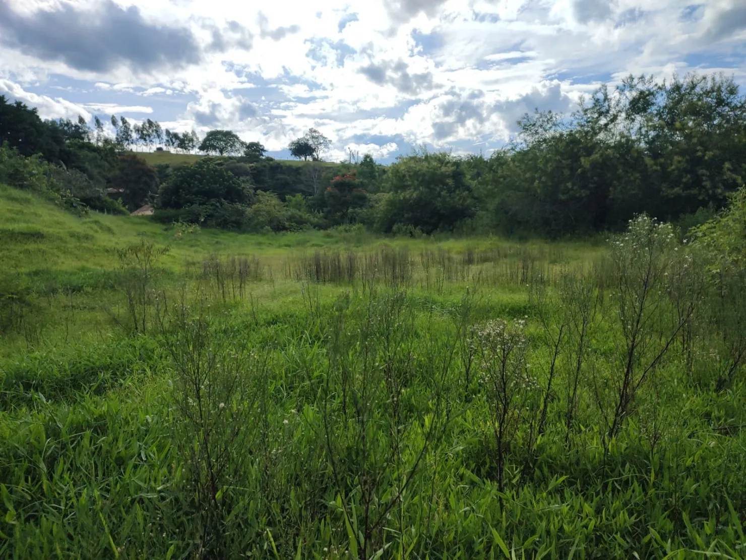 Imagem Chácara à venda 3 Quartos, 1 Suite, 20 Vagas, 24000M², Registro, Taubaté - SP