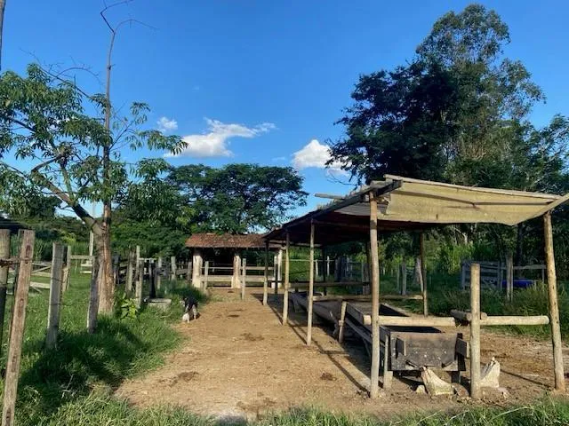 Imagem Vendo Sítio/Fazendinha em Florestal/MG - com 27 hectares de terra,