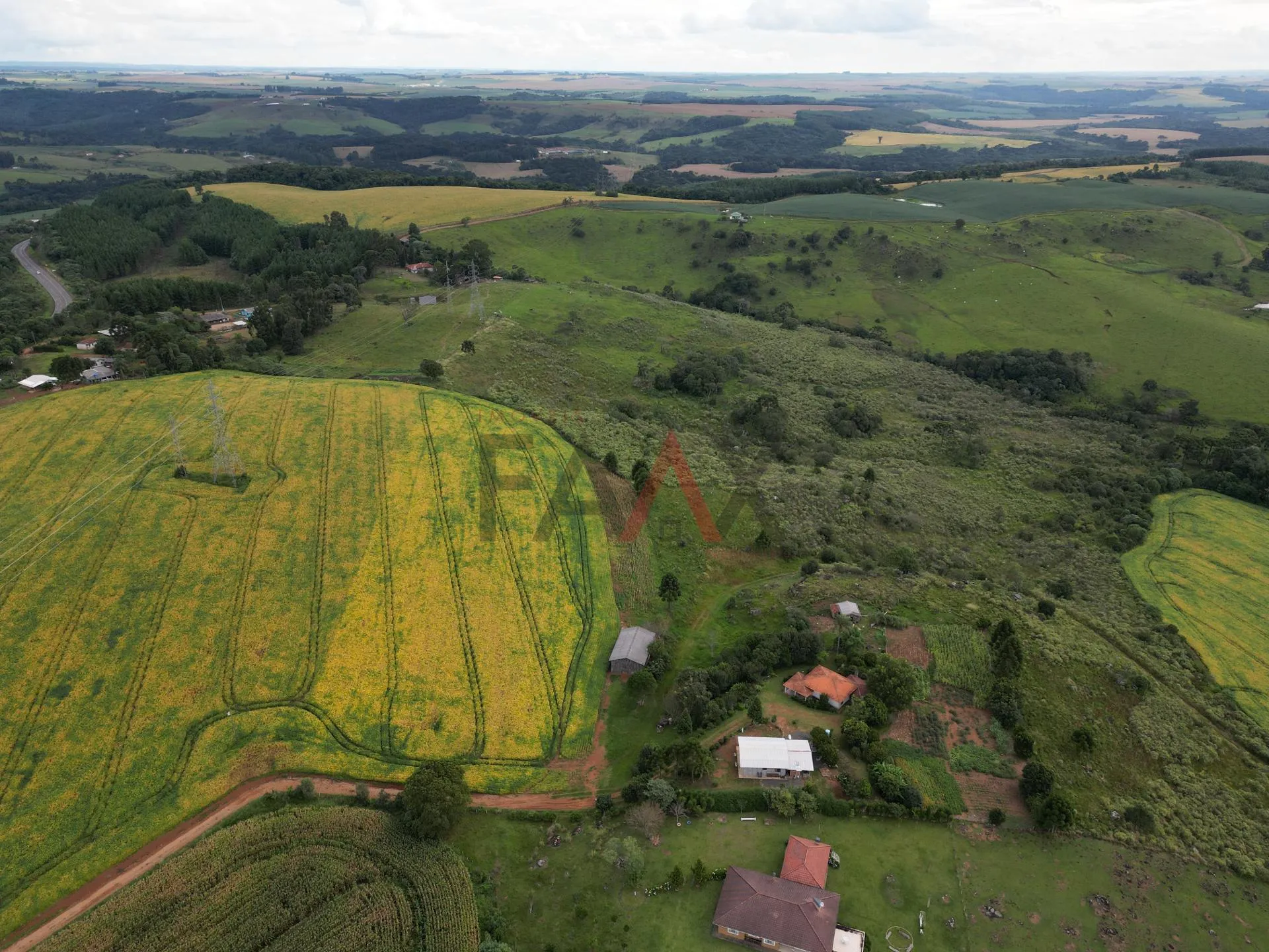Imagem Chácara com 1.210.000,00m as margens da BR-277 em GUARAPUAVA - PR