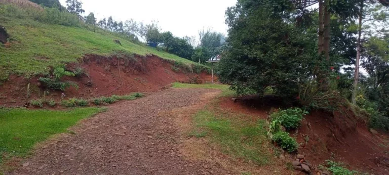 Imagem Área Agrícola para Venda em Lindóia do Sul, Interior
